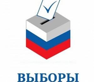 Итоги голосования по выборам депутатов Собрания депутатов муниципальных образования участка