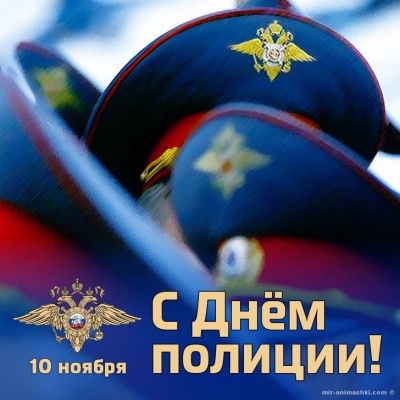 С Днем Российской полиции!