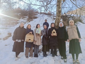 Наступила весна, а значит, пора возвращаться нашим птицам домой!