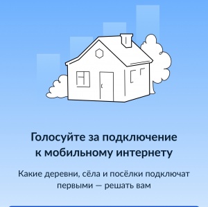 Голосование 2025 года за населенный пункт