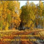 Конкурс чтецов на тему «Золотая осень» прошел в центральной детской библиотеке