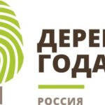 Деревья – памятники живой природы