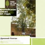 КОНКУРС «ЕВРОПЕЙСКОЕ ДЕРЕВО ГОДА – 2021»