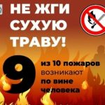 Не жги сухую траву!!!