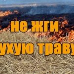 Не жги сухую траву!!!!!